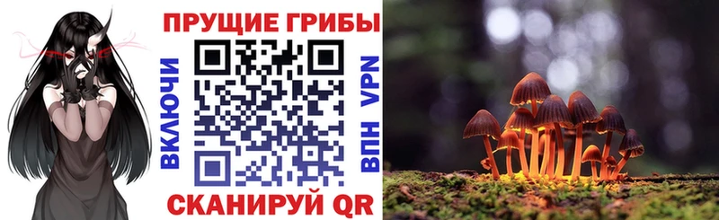 Купить закладки  Хилок  Псилоцибиновые грибы GOLDEN TEACHER 