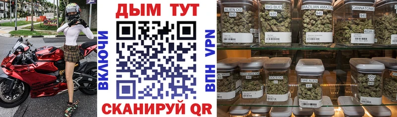Канабис план Купить закладки Хилок